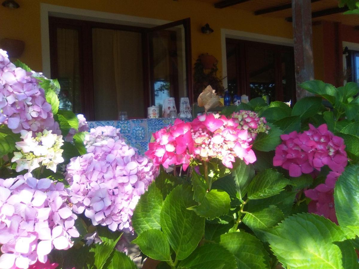 B&B Casa Per Ferie Villaggiocarovana Castiadas Dış mekan fotoğraf