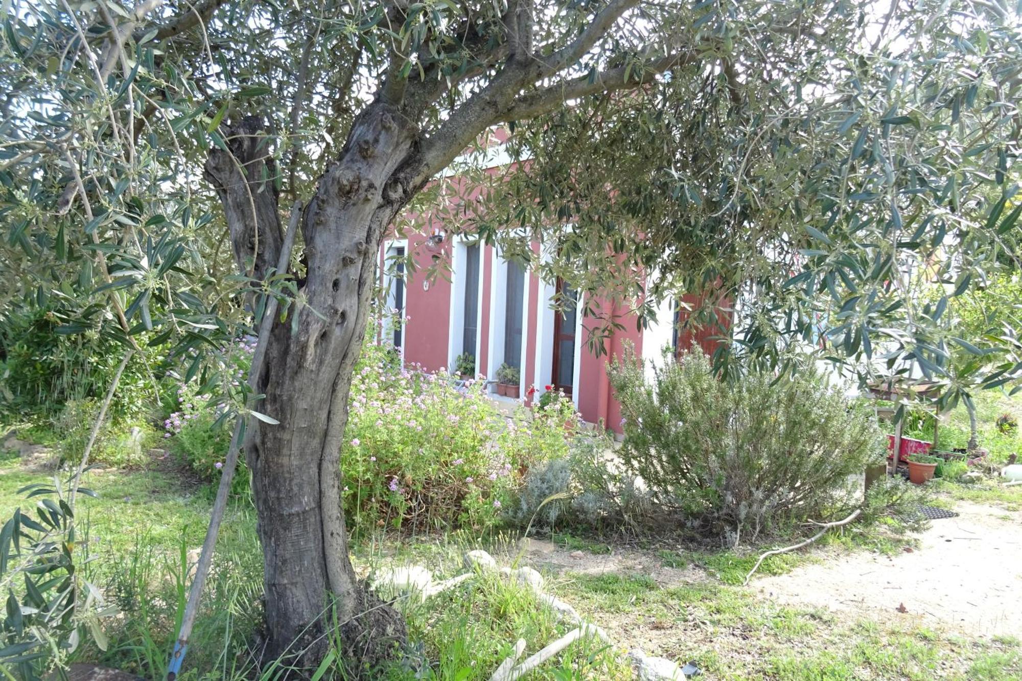 B&B Casa Per Ferie Villaggiocarovana Castiadas Dış mekan fotoğraf