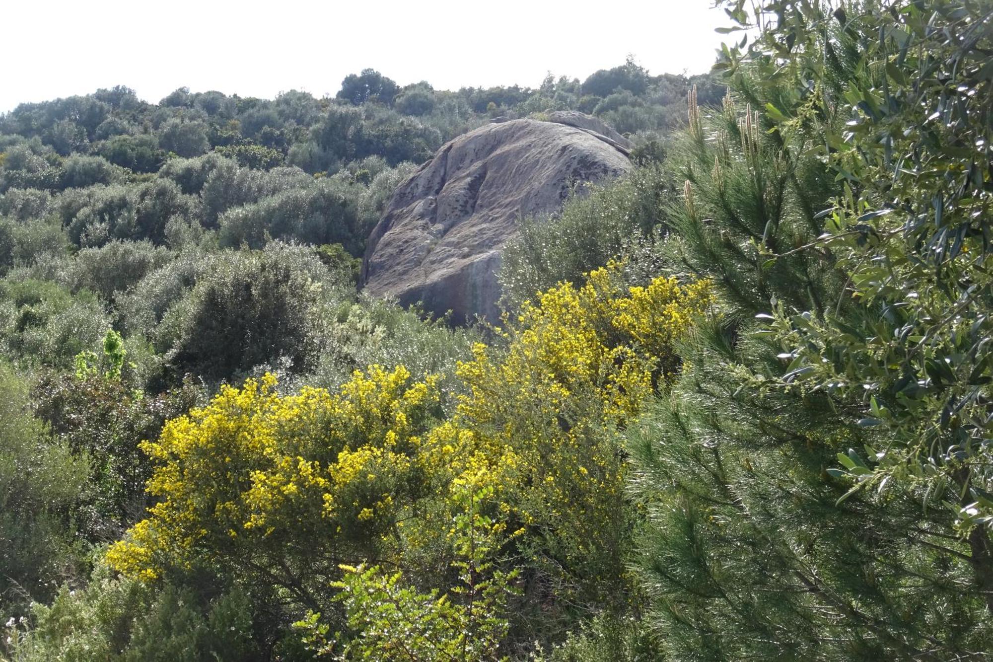 B&B Casa Per Ferie Villaggiocarovana Castiadas Dış mekan fotoğraf